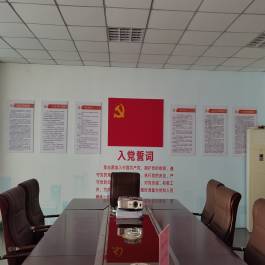 中共安徽国晟检测技术有限公司支部委员会第一次党员大会